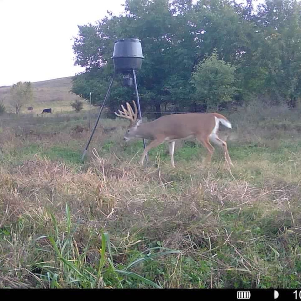 016579000933817 100 3 10152025185845 syfw00079