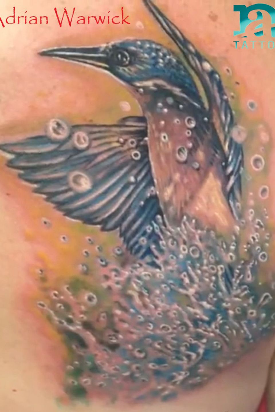 Adrian birdbath