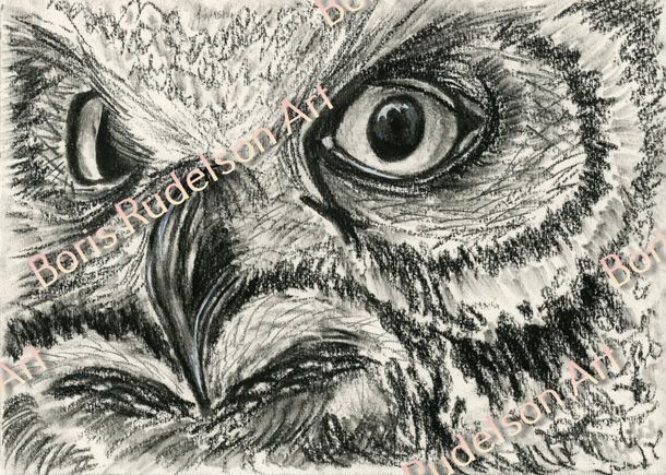 Black Chock. Owl