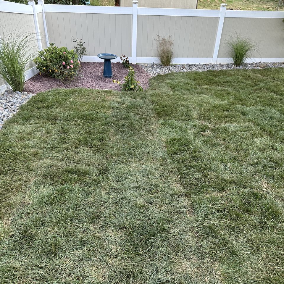 Img 1407 jacob johns