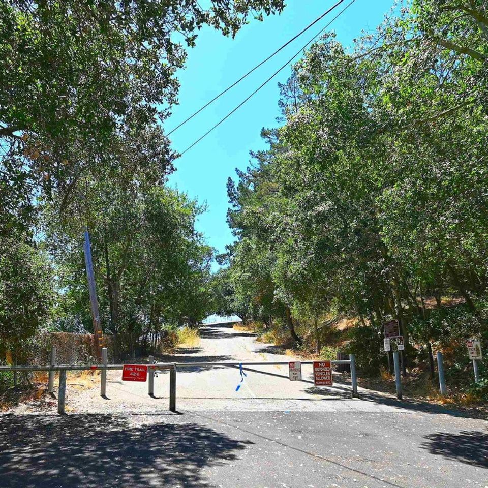 Donald dr6