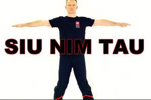 Siu nim tau image