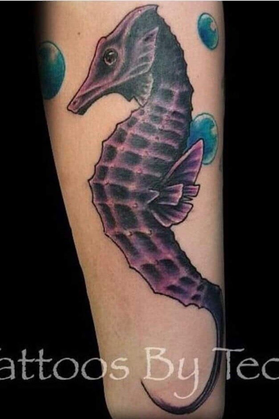 Tech seahorse