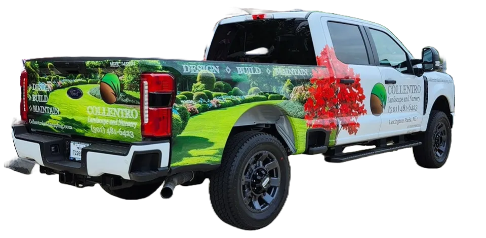 Custom vehicle wrap by Hollywood Grafx