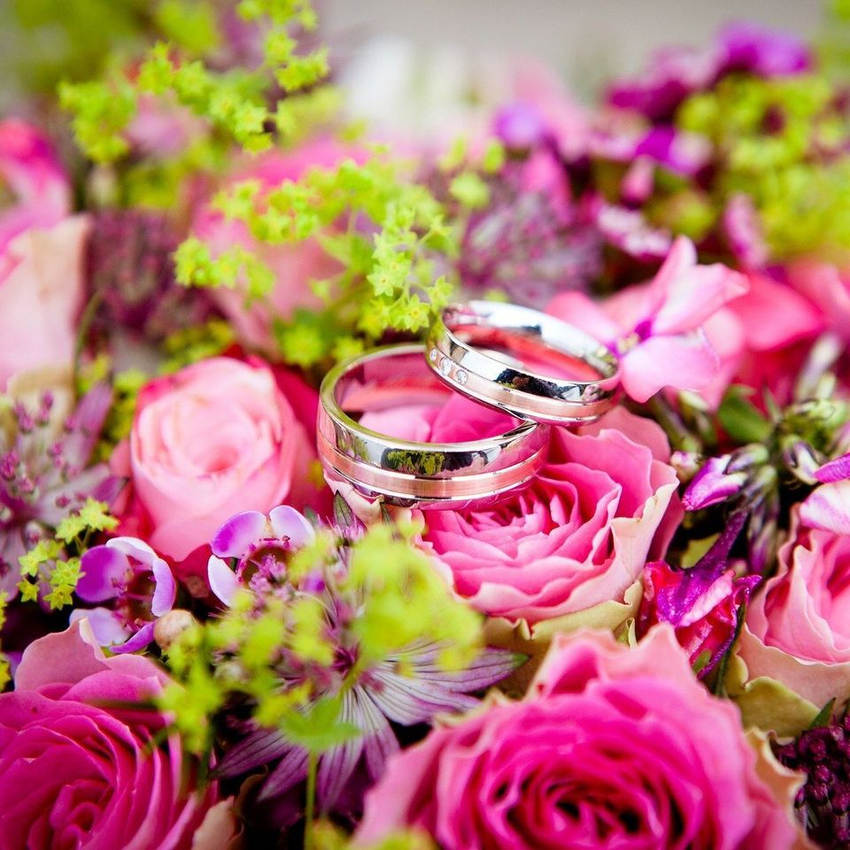 Flowers 54e6d54b43 1920