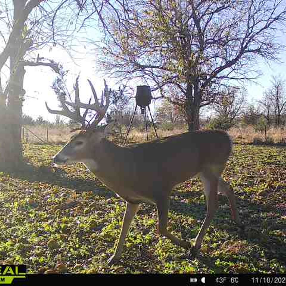 865814044839494 100 4 11102025085324 w1003054