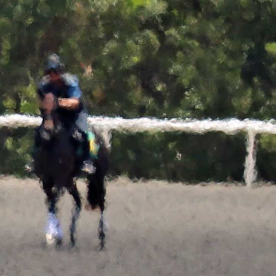 Turf heat obs ocala
