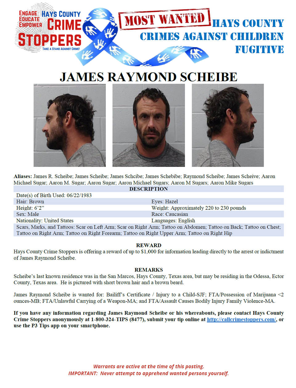 Scheibe most wanted poster