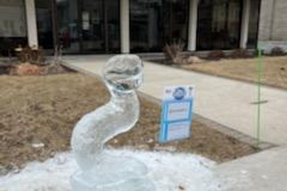 Ice carving 2025 46