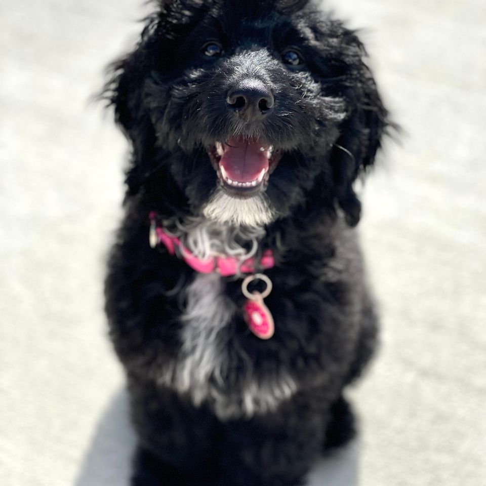 Ellie