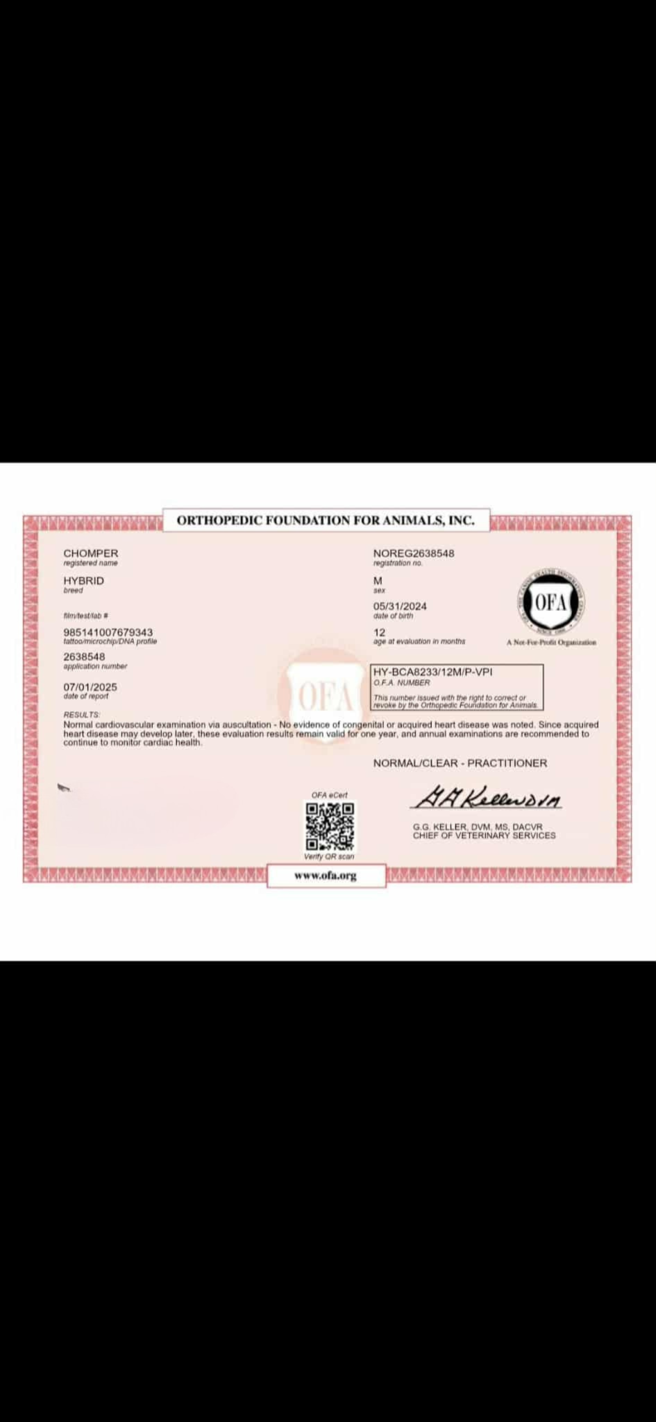 1000033483