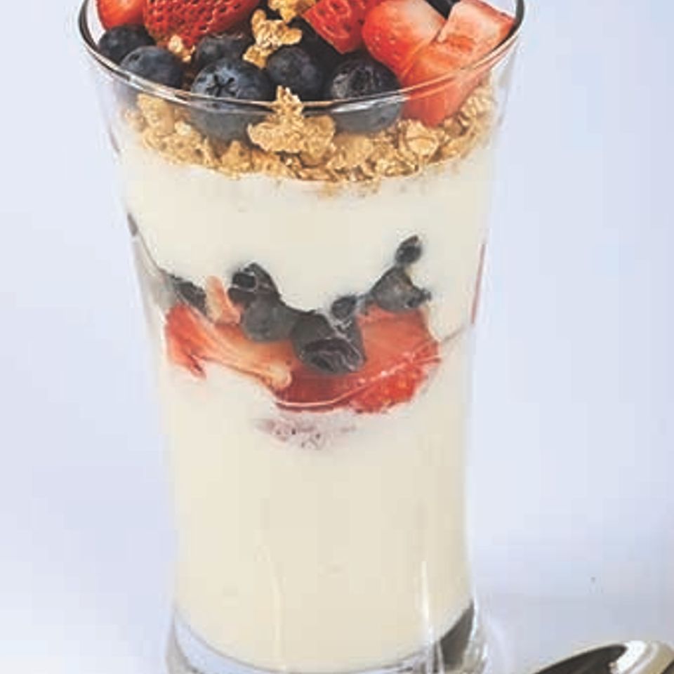 Frozen yogurt