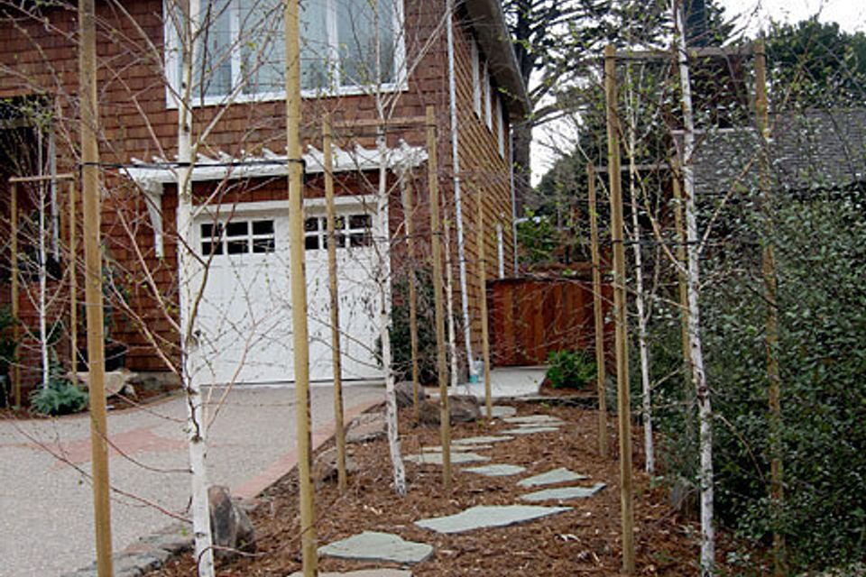 San enselmo residence 02