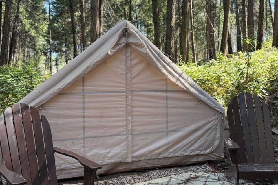 Creek side tent