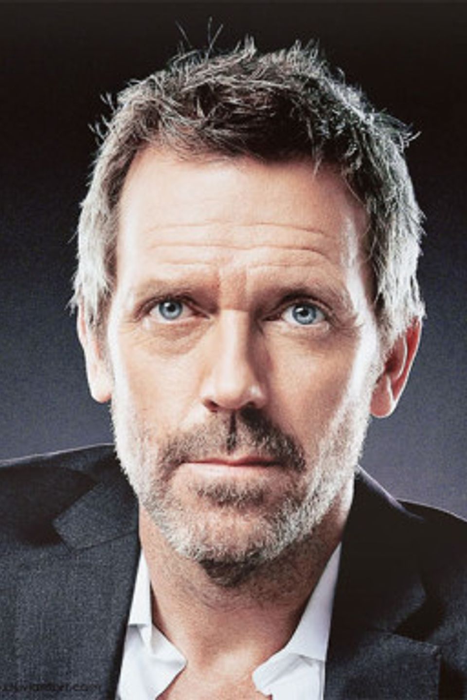 Hugh laurie bio 450x600