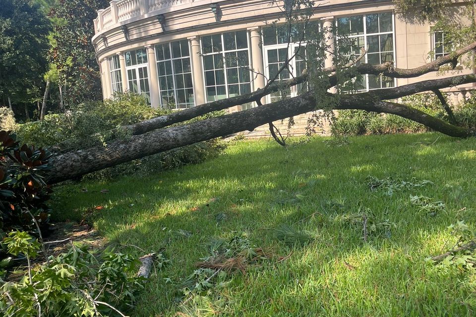 Img 20240709 wa0001(1)