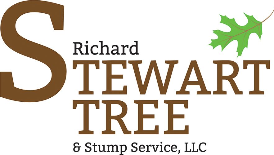 Sawyer Tree Service