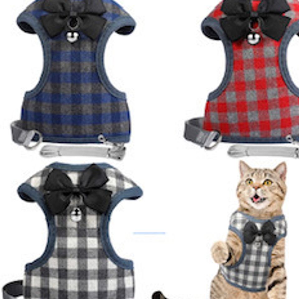 Pets3