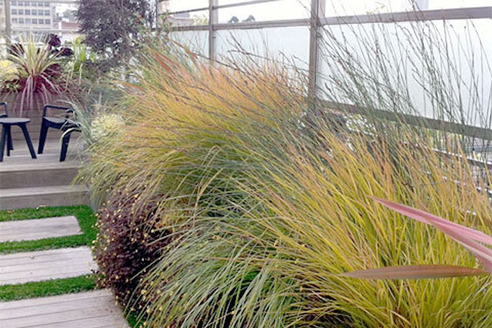 Pirce roof garden 08