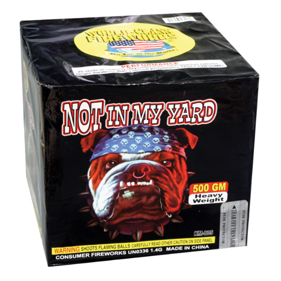 Not in my yard cv