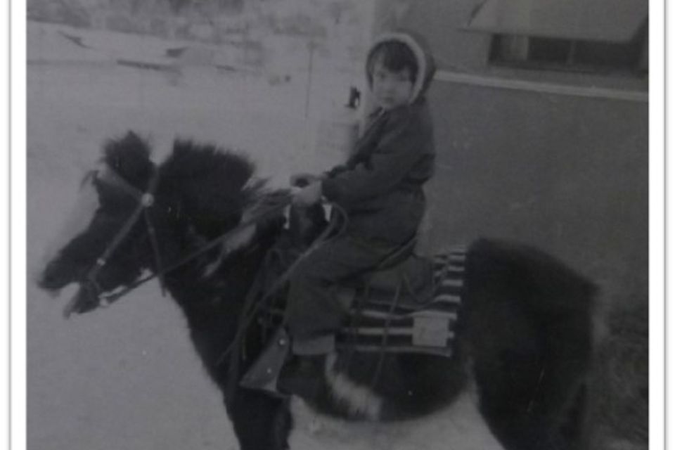 415 horse