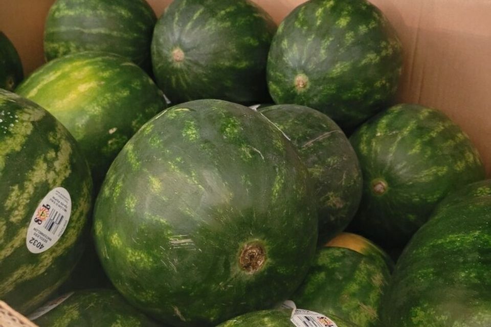 Water melon came in
