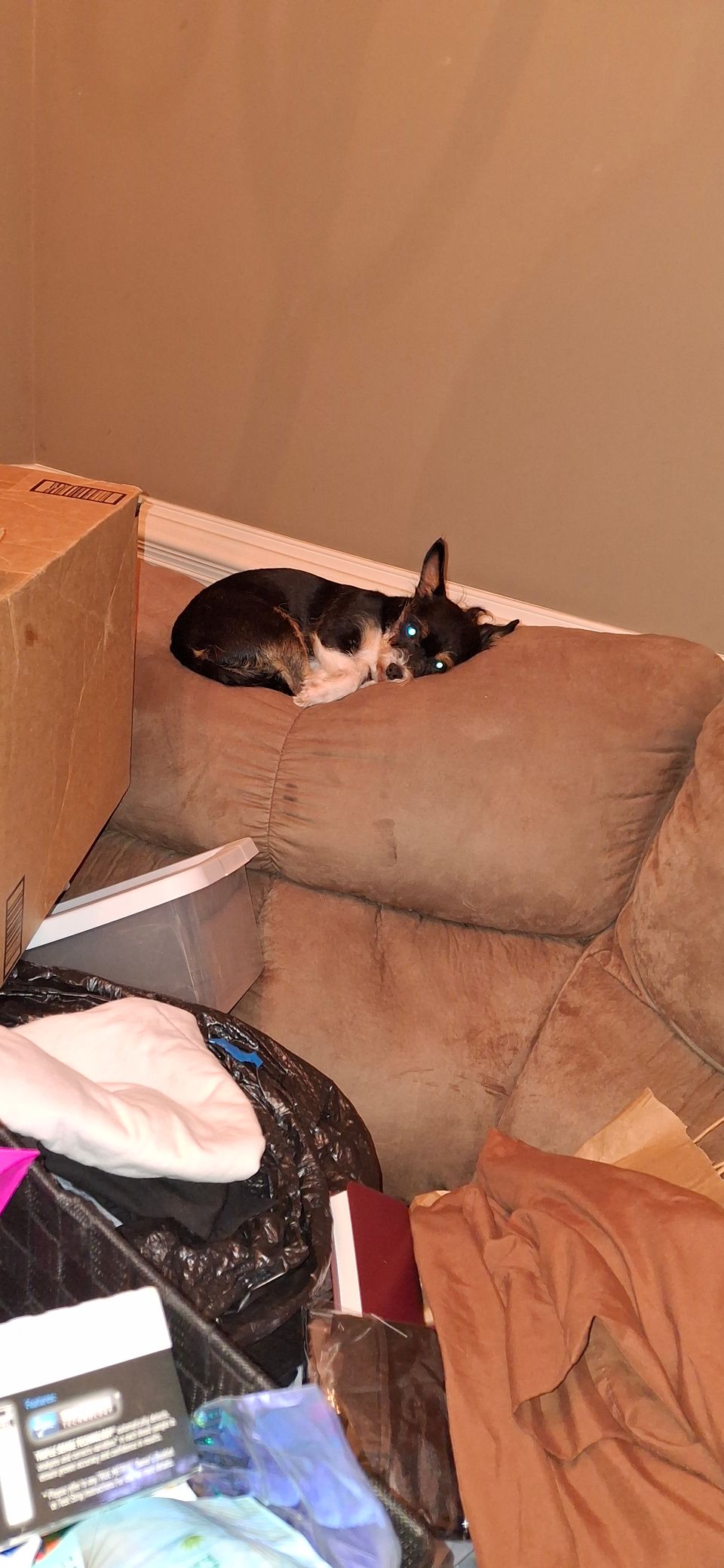 5 inbound9147554290672337680