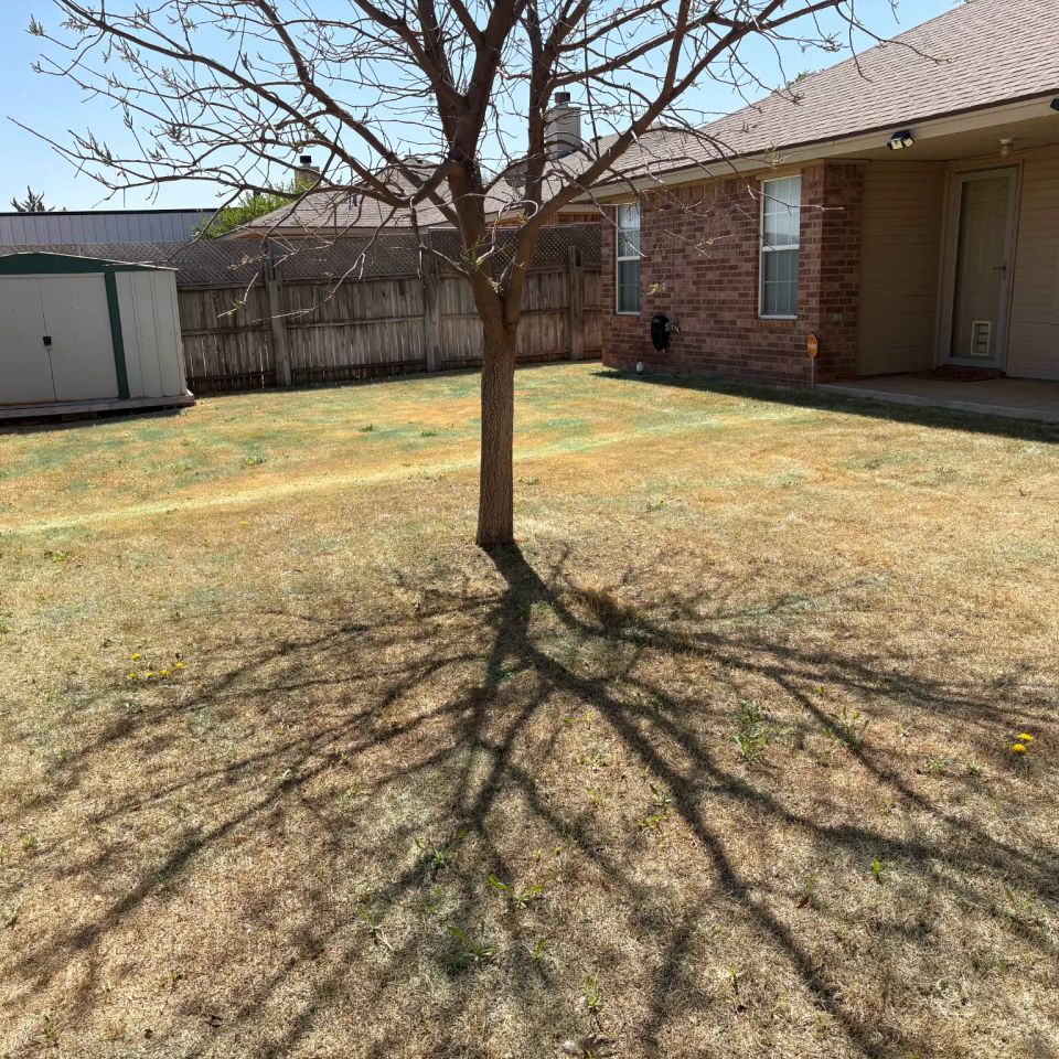 Unnamed (1) original (2)