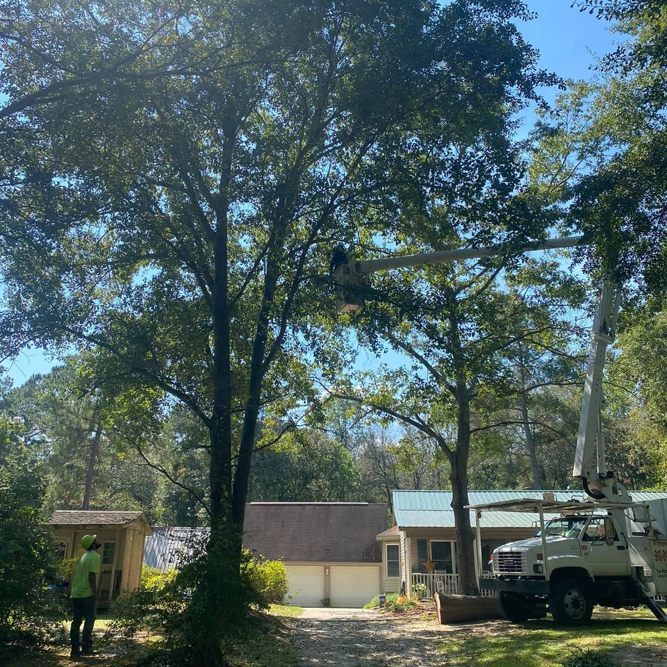 469321205 1491387211524751 5226455930716580491 n