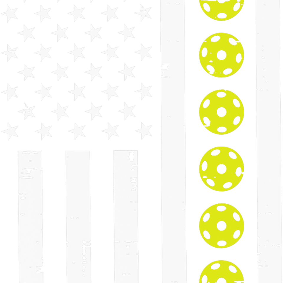 Sports   pickleball flag