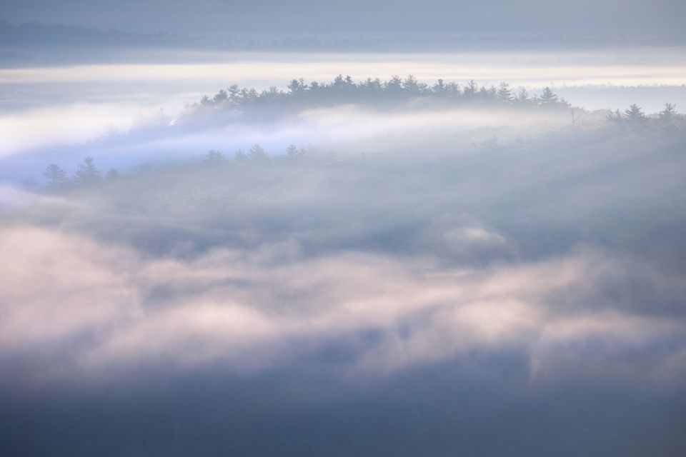 Lost in fog2