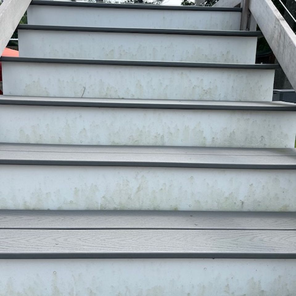 Img 0602
