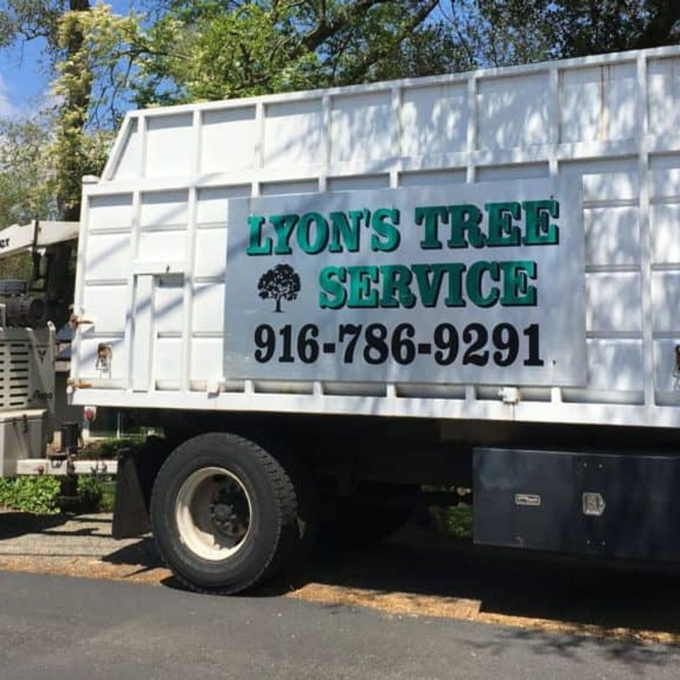 Tree service Roseville Ca