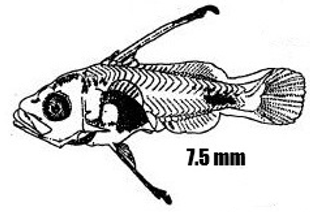 Screenshot 2025 10 15 141126