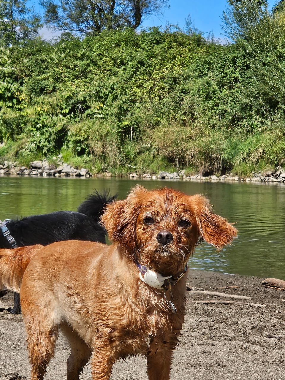 20250915 122119