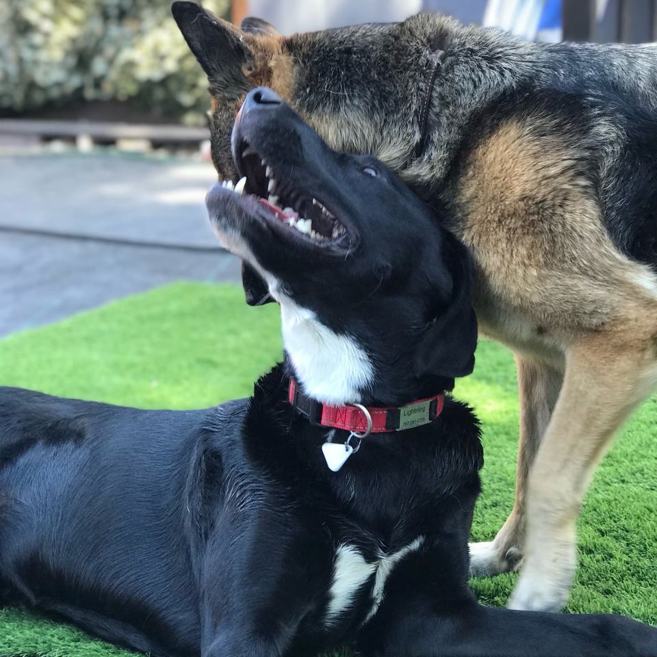 471156530 1018603193654612 951062721357648526 n