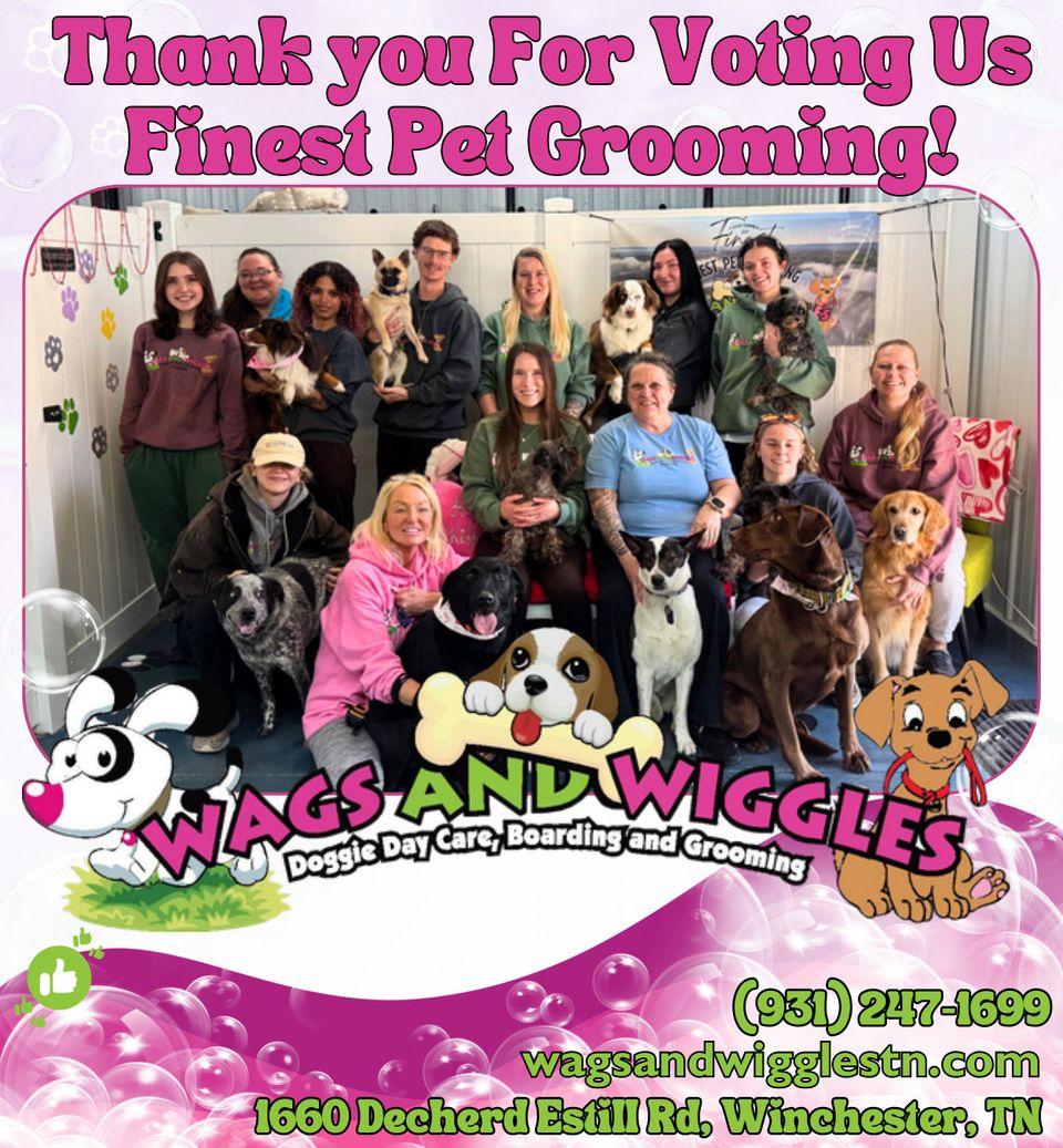 Copy wags fc finest (2)