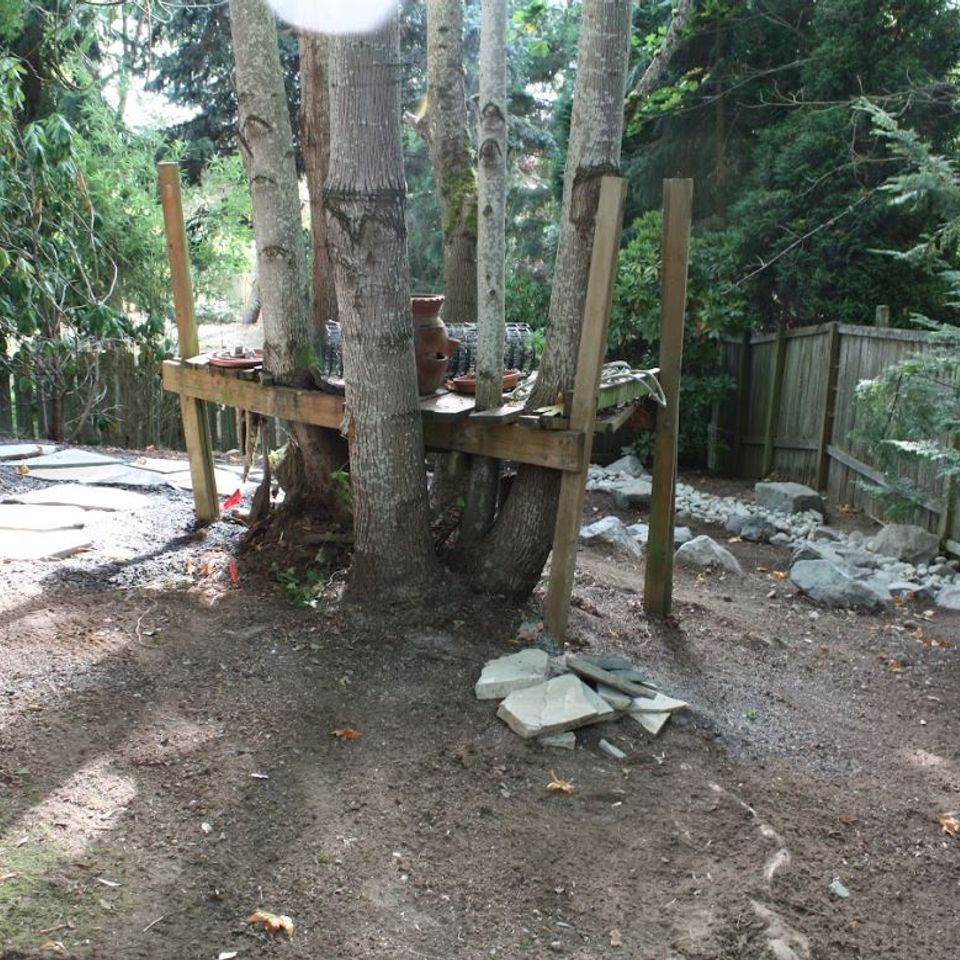 Before tree house