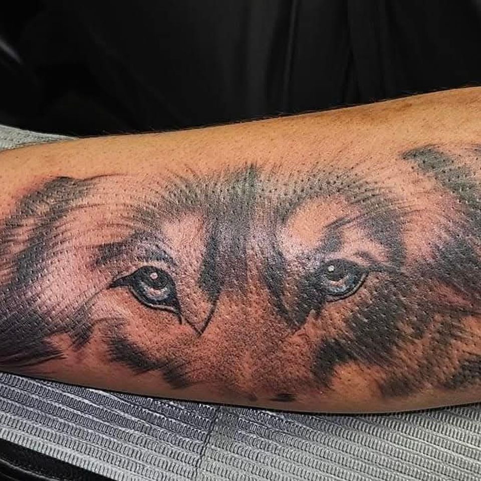 Fcbfe1df f9c0 480c b091 2c379ef00a31 1 all 220