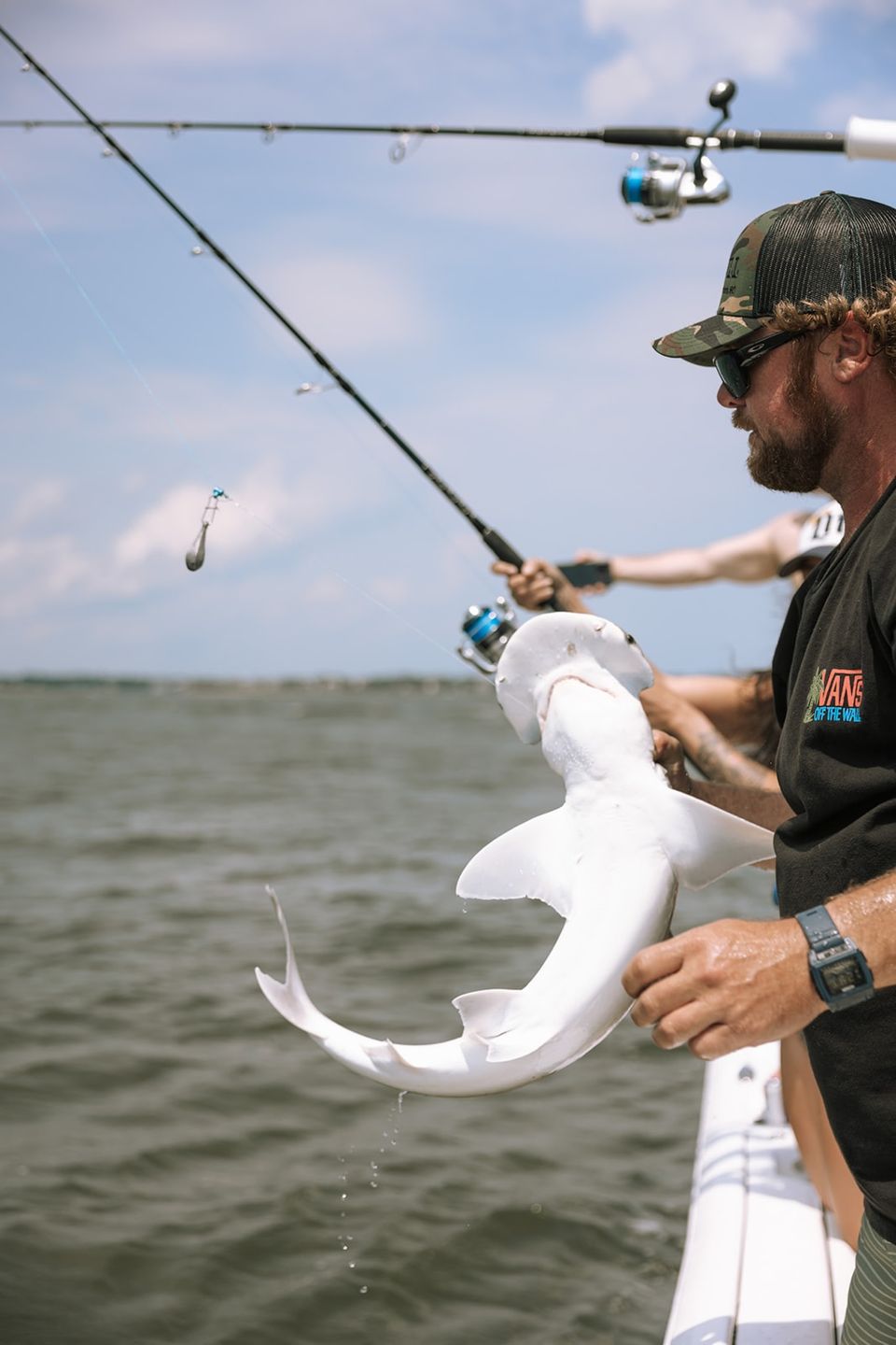 Hammerhead shark charleston charter