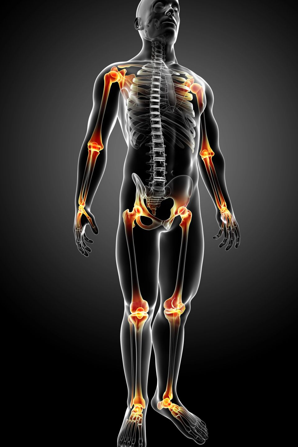 Joint pain anatomy chart
