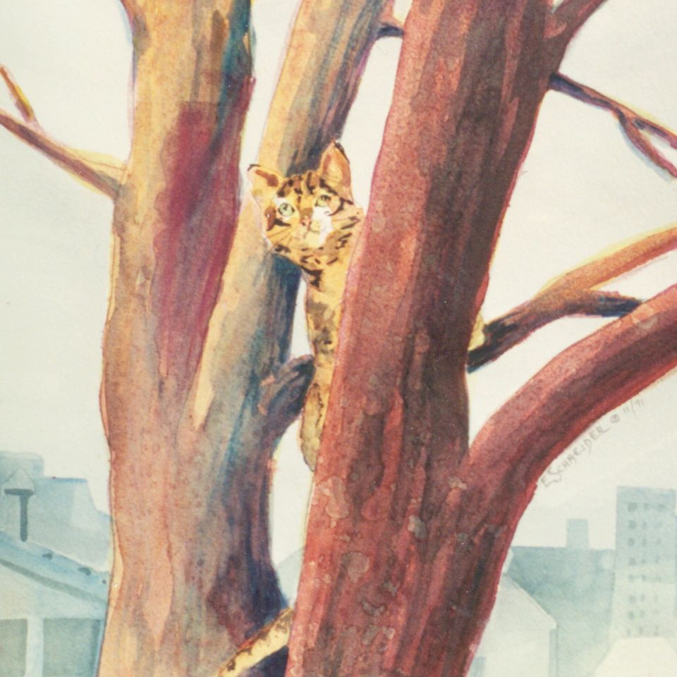 Treetop kitty lg