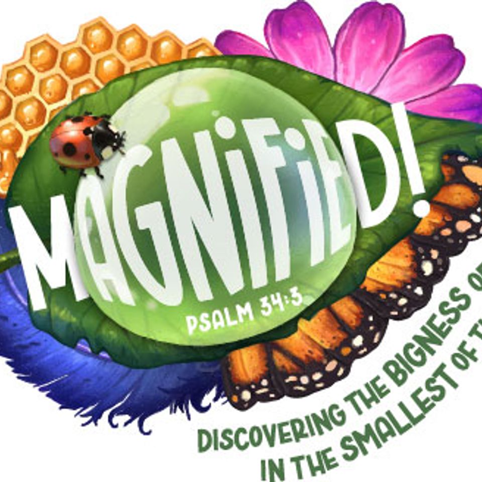 Magnified logo color