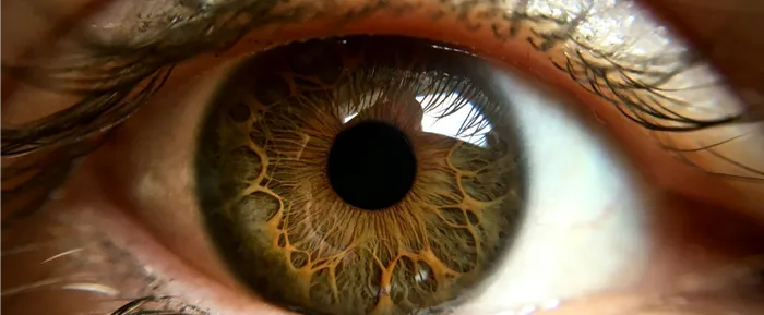 Viewslice