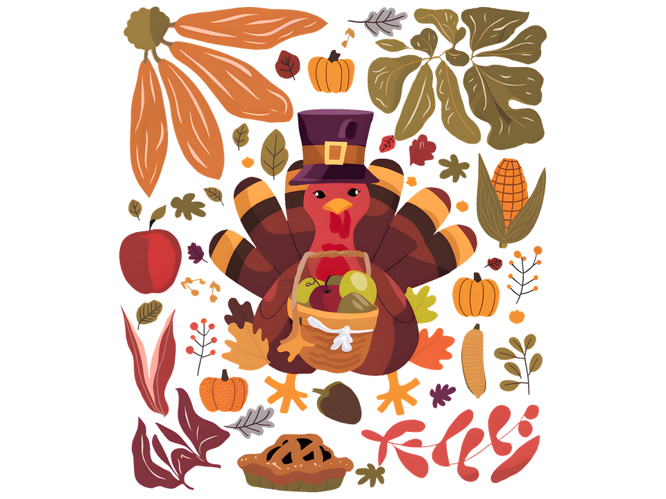 Seasons   thanksgiving fall turkey