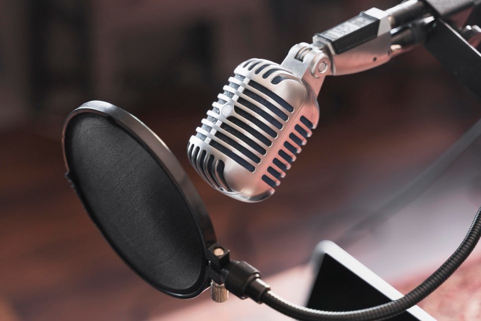 Voice Actor