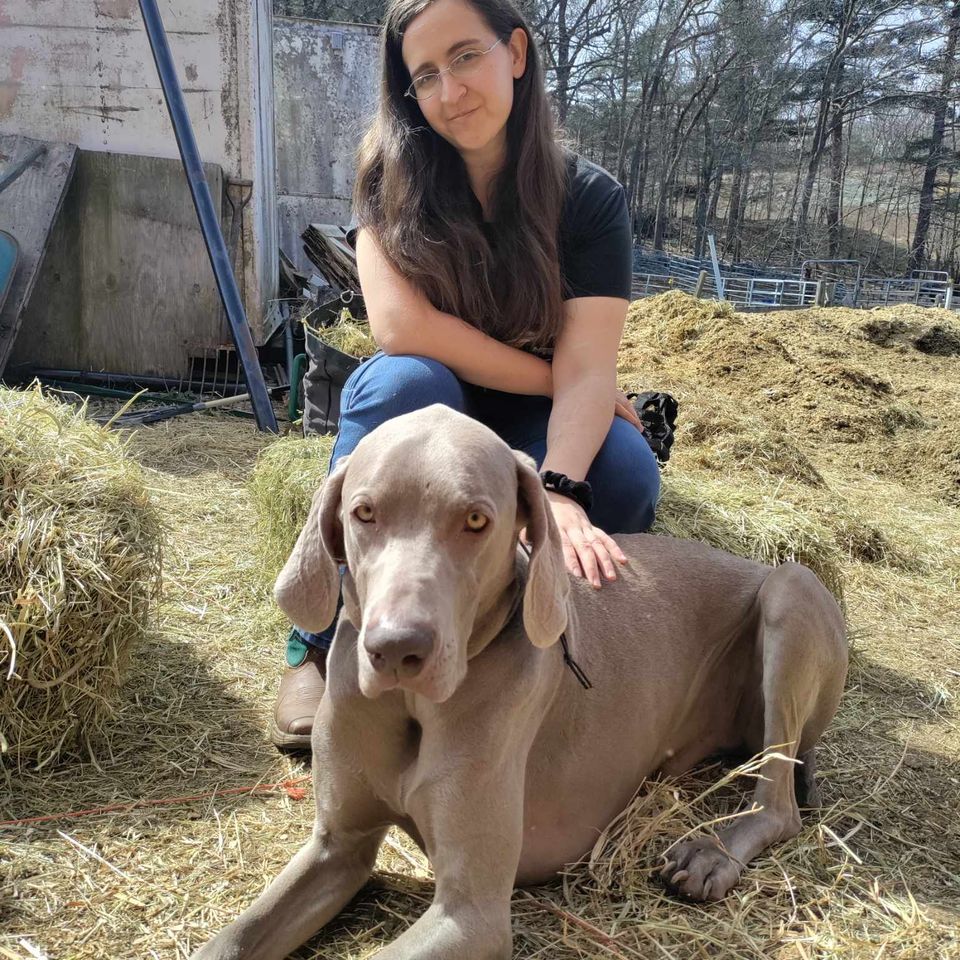 Received 386850560995055