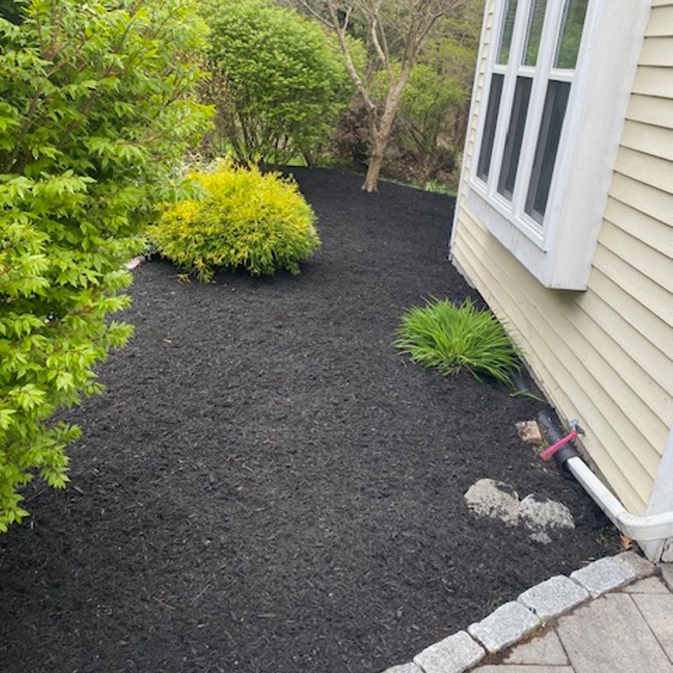 Sullivan mulch pic4