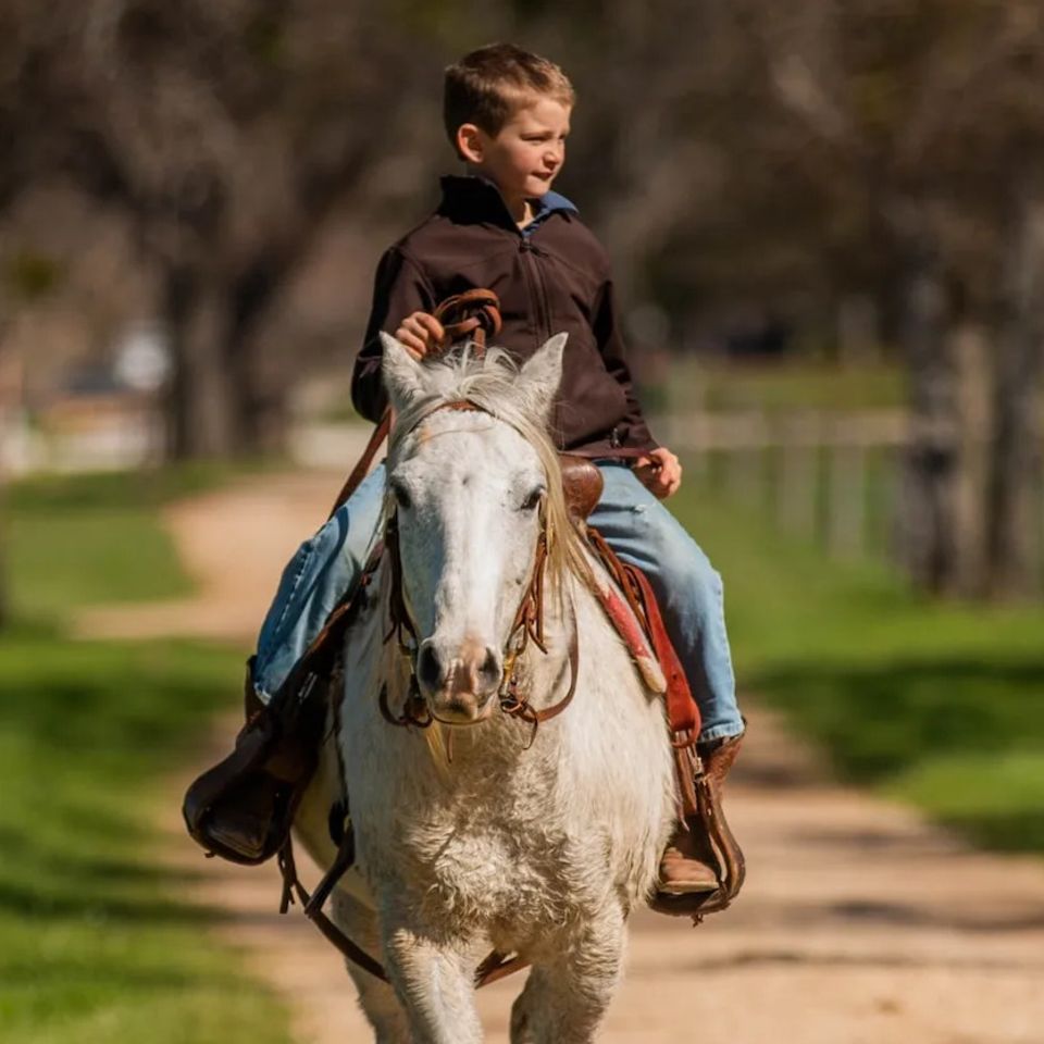 kids horse riding lessons