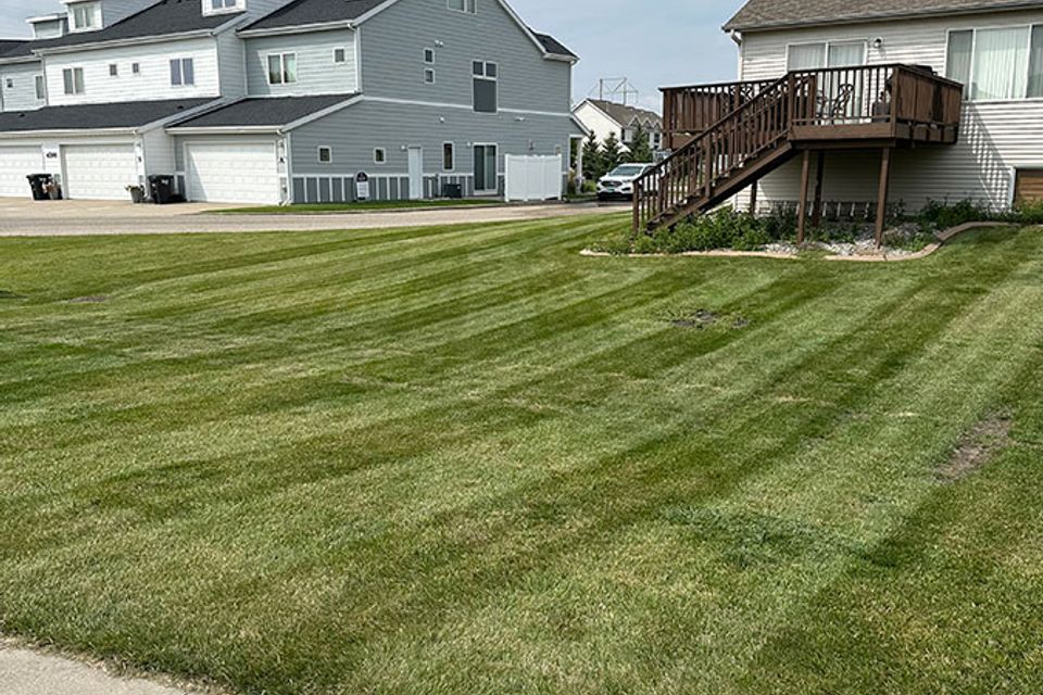 Grizzly lawn care 4
